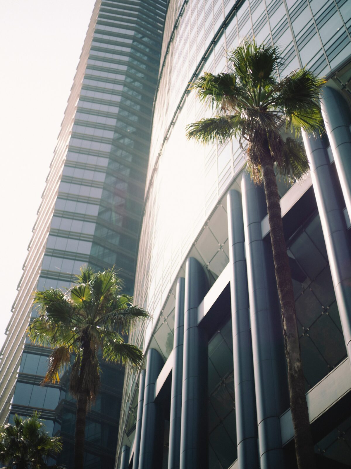 Регистрация IT стартапа в Европе